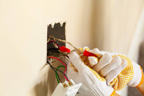 Best Electrical Panel Upgrades  in Woodsville, NH